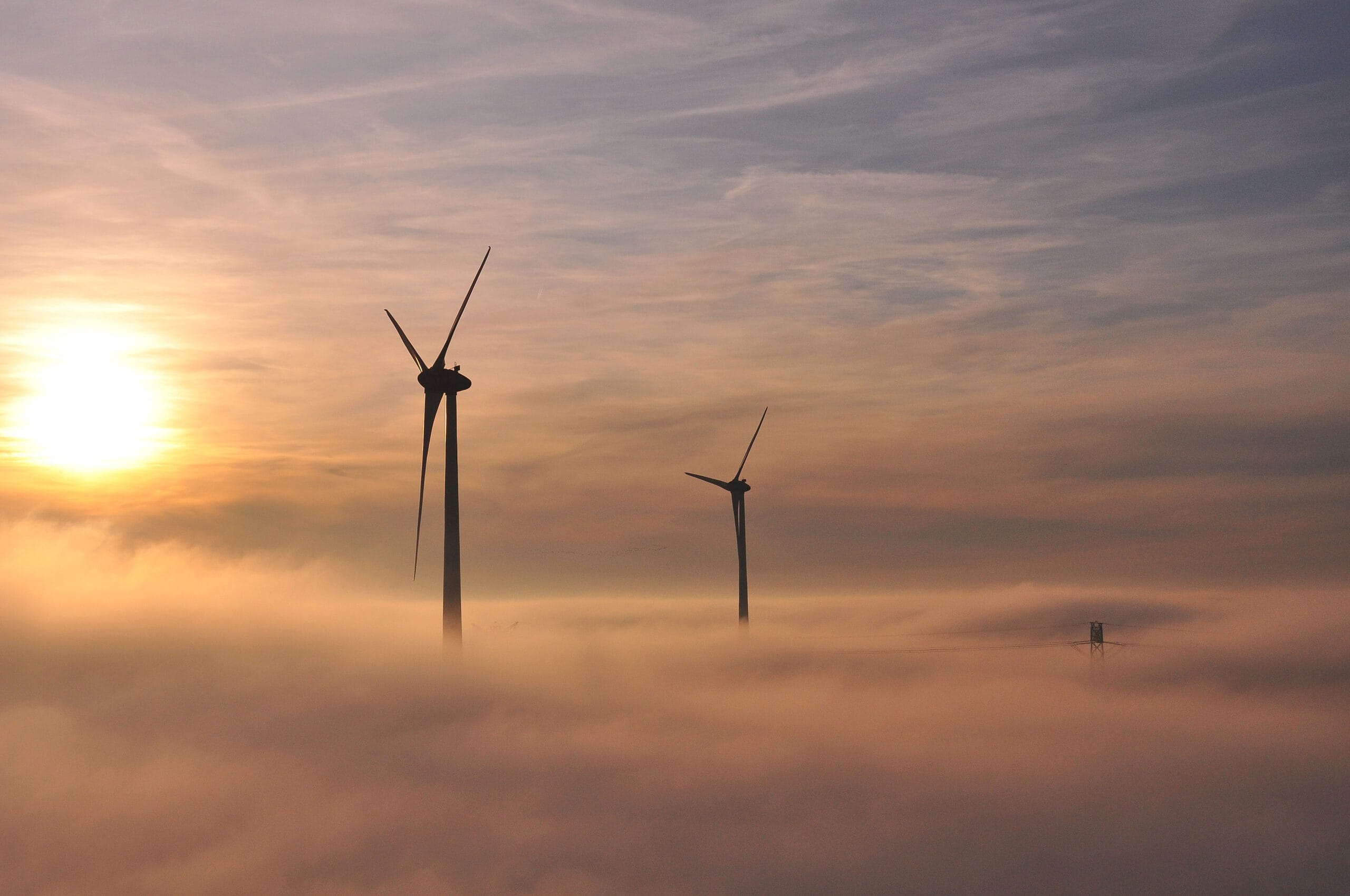 NYCEDC Seeks Operator for We Source NYC, Offshore Wind